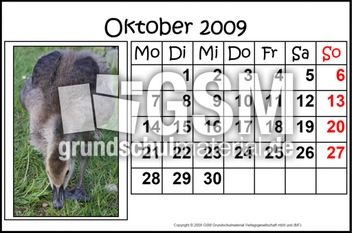10-Oktober-2009-quer.jpg